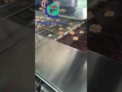 Walnuss mit Schokoladenüberzug