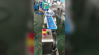 Produktionslinie für Haferflocken-Proteinbällchen